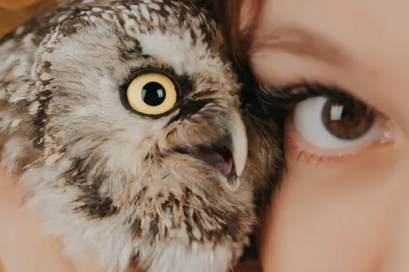 Kasyno MR Fortune Wsparcie